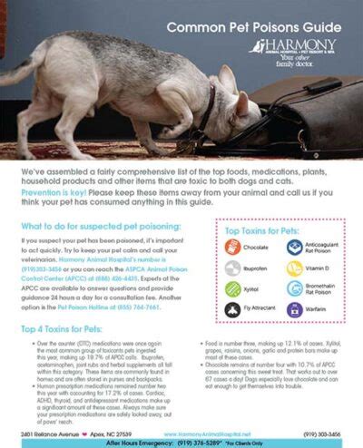 888 426 4435|poisoning in dogs.